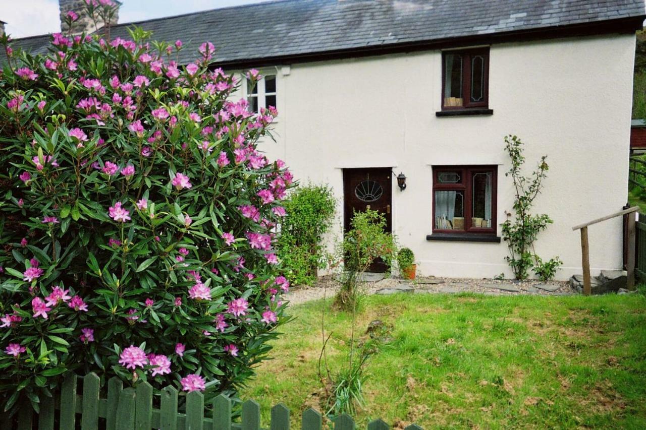 Vila Deer House Machynlleth Exteriér fotografie