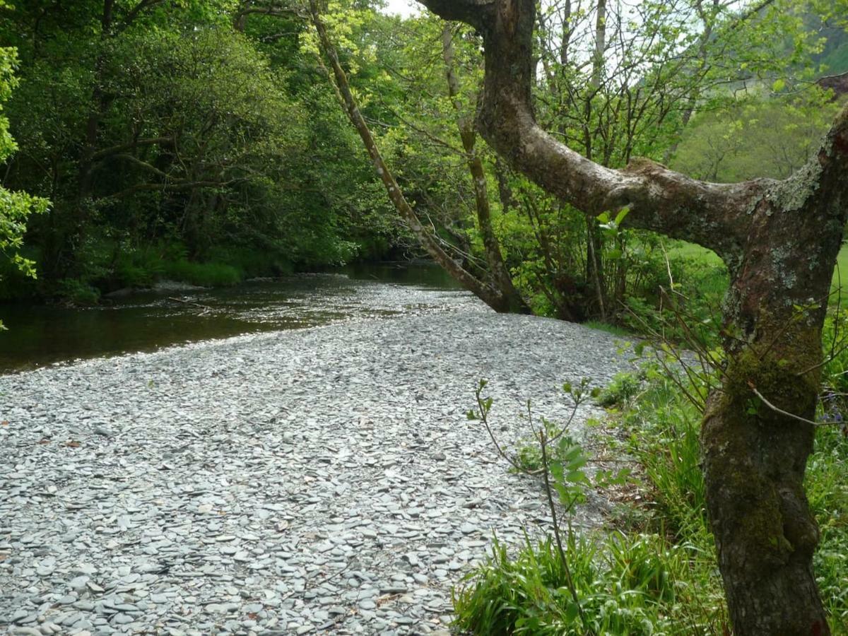 Vila Deer House Machynlleth Exteriér fotografie